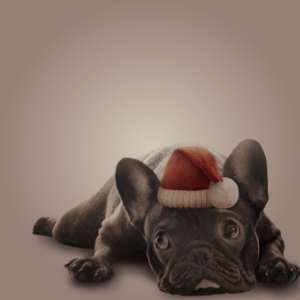 イラスト制作（東京、墨田）