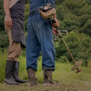 青果店広告・チラシ制作（埼玉、飯能）