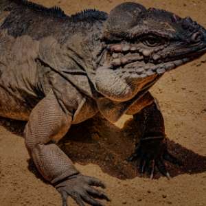 ホームページ・WEBサイト制作（埼玉、さいたま）