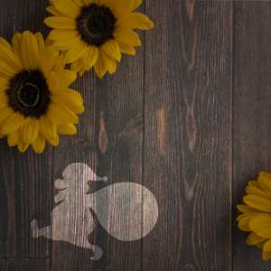 サービスサイト制作（埼玉、日高）