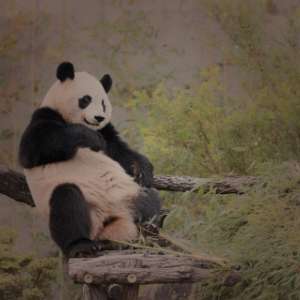 ポストカード制作（東京、千代田）