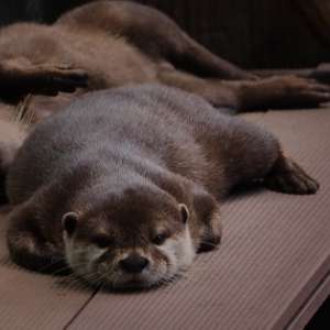 ポストカード制作（東京、千代田区）