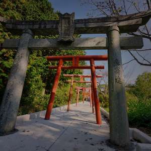 ブランディングサイト制作（埼玉、所沢）