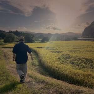 農産物ブランディングサイト制作（埼玉、嵐山）