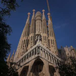 シール・ステッカーデザイン制作（東京、目黒）
