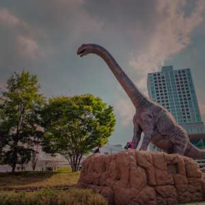 ブランディングサイト制作（埼玉、北本）