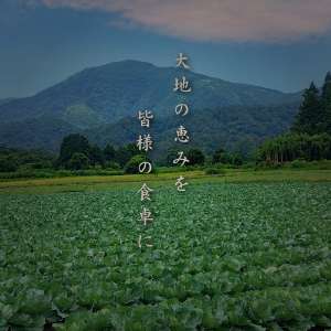 農作物・通販サイト制作（福島、須賀川）